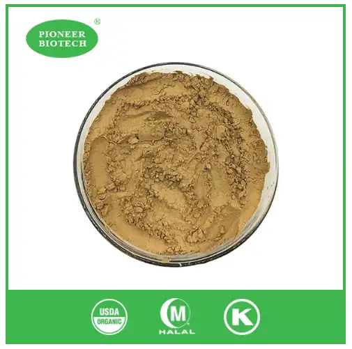 organic olive leaf powder Introduction.png